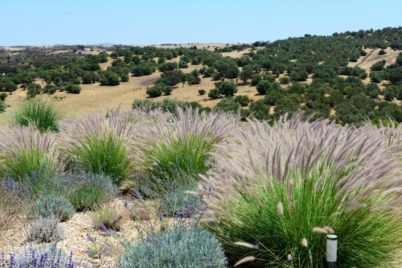 Vistas - Herdade Do Zambujal Castro Verde Extérieur photo